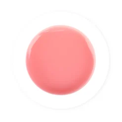 ACRYGEL en POT - 50gr - Cover Pink | Purple Professional New