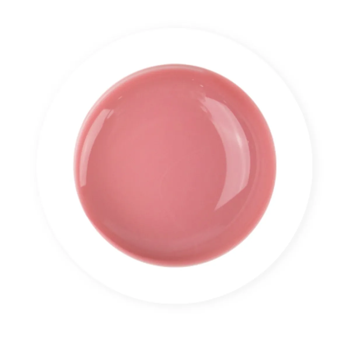 ACRYGEL en POT - 50gr - Cover Nude | Purple Professional New