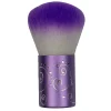 Brosse pour dépoussiérer poignée métalique | Purple Professional Hot