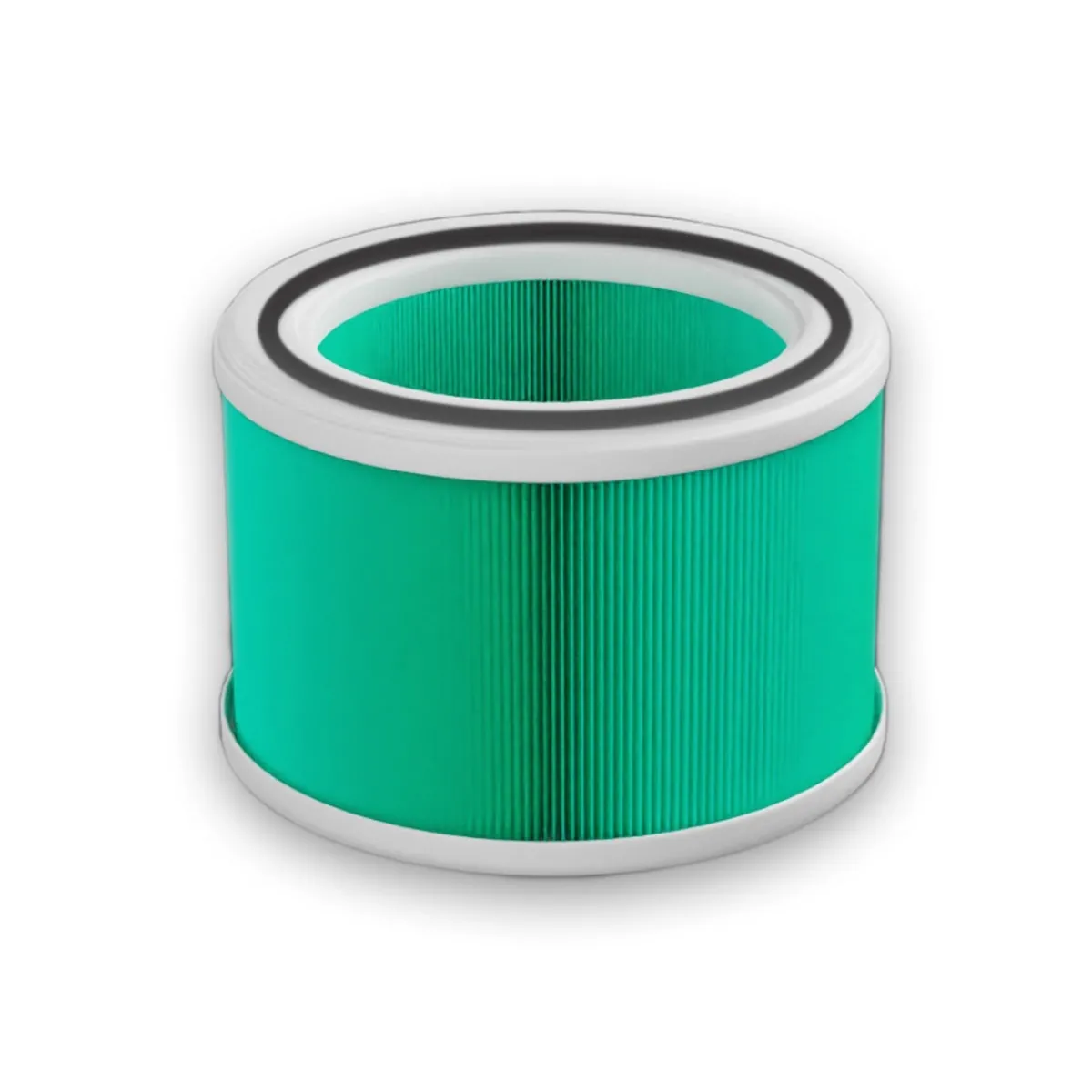 Filtre HEPA-12 pour aspirateurs MAESTRO - | 4BLANC Hot