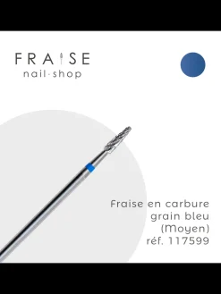 Fraise en carbure grain bleu pour façonnage à l’intérieur de l’ongle 117599 | FREZA Company Ltd New