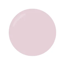 GEL 3D PLASTIART 5 GR - Rose Clair | Purple Professional Clearance