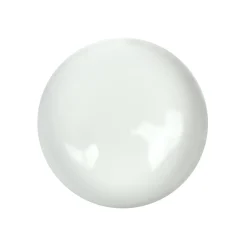 GEL PAINT 5 GR - BLANC | Purple Professional New