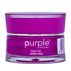 GEL PAINT 5 GR - LIME (Citron vert) | Purple Professional Clearance