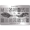 Plaque de STAMPING XL - Feather Fever | B. Loves Plates New