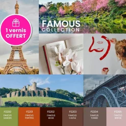 Set de 6 vernis semi-permanents FAMOUS Collection | Purple Professional Online