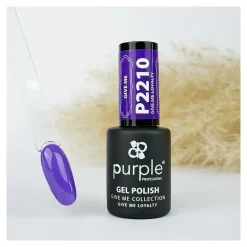 Set de 6 vernis semi-permanents GIVE ME Collection | Purple Professional Online