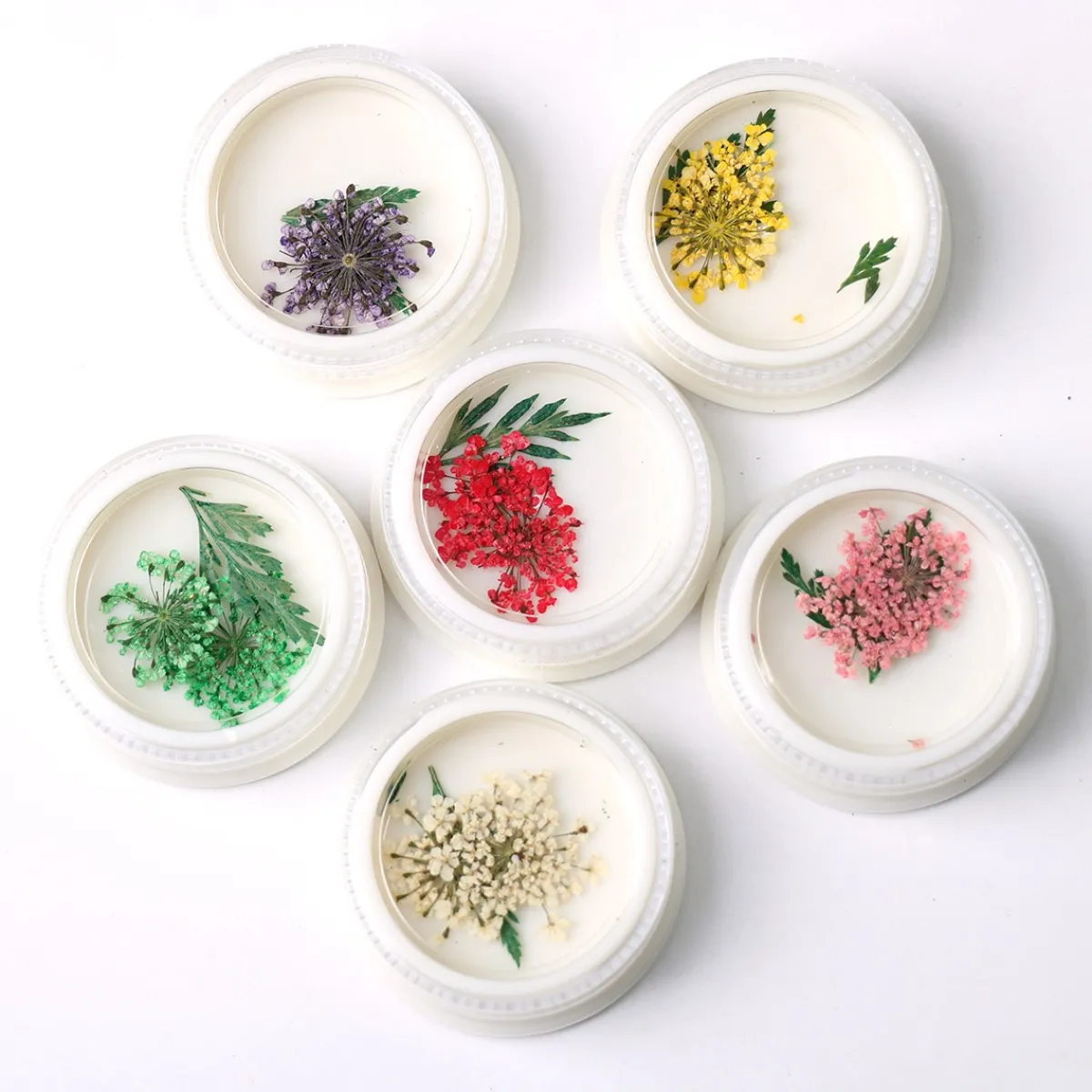 Set N°1 de Fleurs séchées pour Nail Art - 6 couleurs | Fraise Nail Shop Best