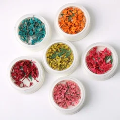 Set N°2 de Fleurs séchées pour Nail Art - 6 couleurs | Fraise Nail Shop Sale