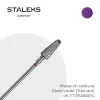 - Fraise en Carbure Grain Violet Forme conique 0,6 x 1,4 cm "Frustum" | Staleks Discount