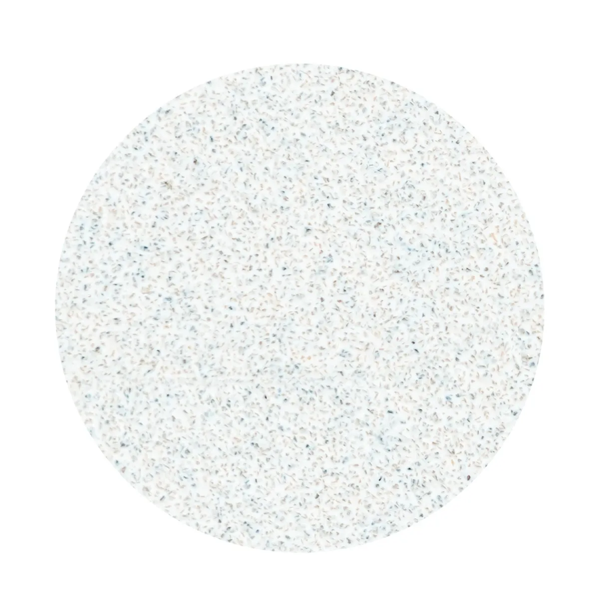 Pro - Limes Recharges base souple pour disque PODODISC S Grain 100 (50 pcs) | Staleks New