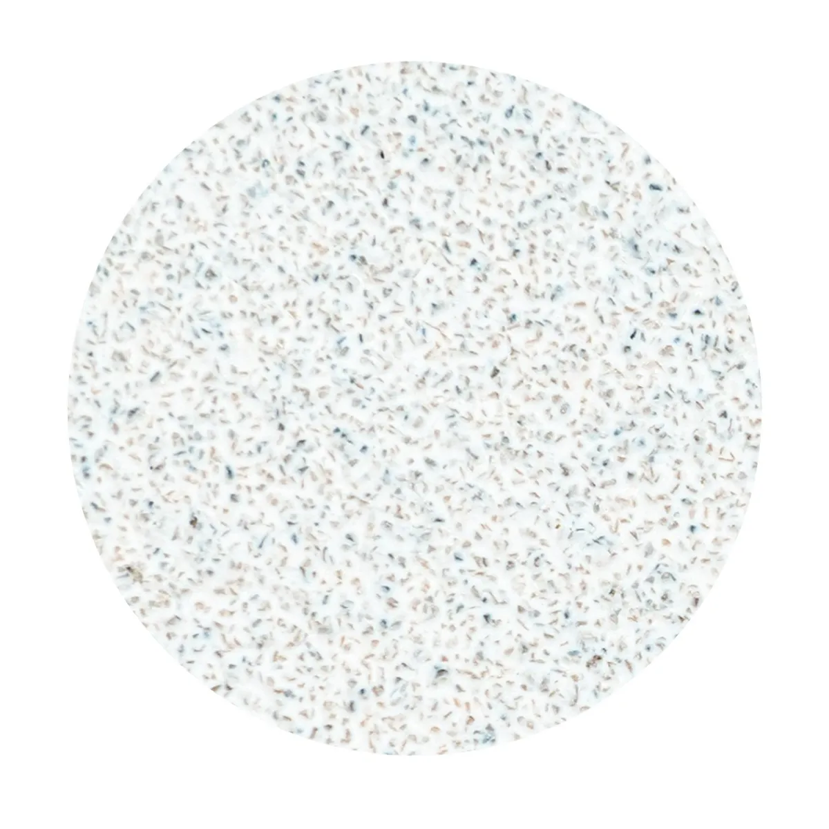 Pro - Limes Recharges base souple pour disque PODODISC L Grain 80 (50 pcs) | Staleks Online