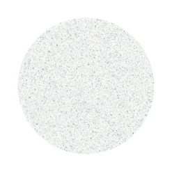 Pro - Limes Recharges base souple pour disque PODODISC M Grain 100 (50 pcs) | Staleks Hot