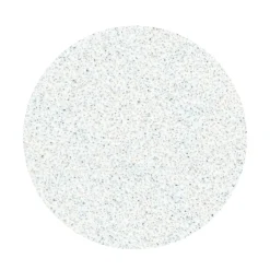 Pro - Limes Recharges base souple pour disque PODODISC L Grain 100 (50 pcs) | Staleks Fashion