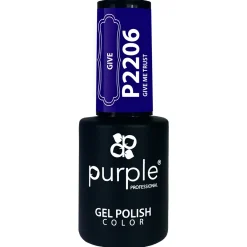 VERNIS SEMI-PERMANENT P2206 - GIVE ME collection | Purple Professional Sale