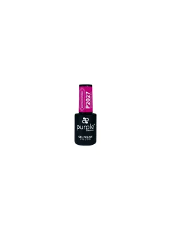 VERNIS SEMI-PERMANENT P2027 | Purple Professional Best