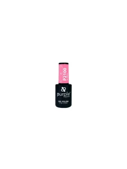 VERNIS SEMI-PERMANENT P2100 | Purple Professional New