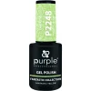 VERNIS SEMI-PERMANENT P2248 - FANTASTIC collection | Purple Professional Outlet