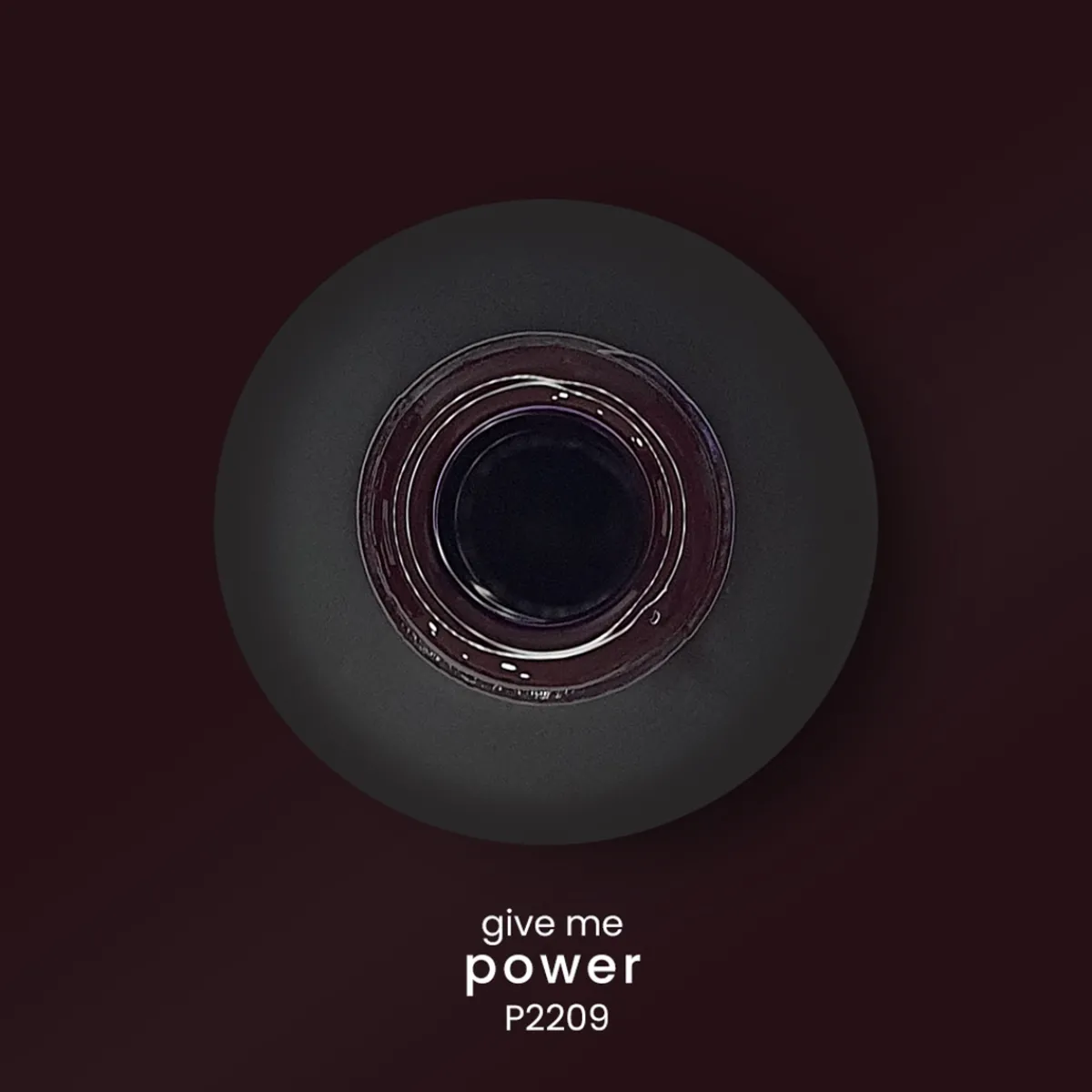 VERNIS SEMI-PERMANENT P2209 - GIVE ME collection | Purple Professional Fashion