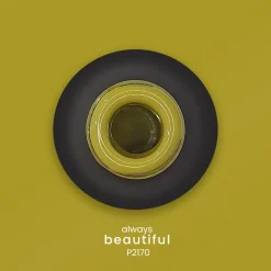 VERNIS SEMI-PERMANENT P2170 - ALWAYS Collection | Purple Professional Fashion