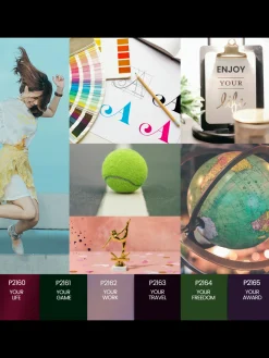 VERNIS SEMI-PERMANENT P2160 | Purple Professional Online